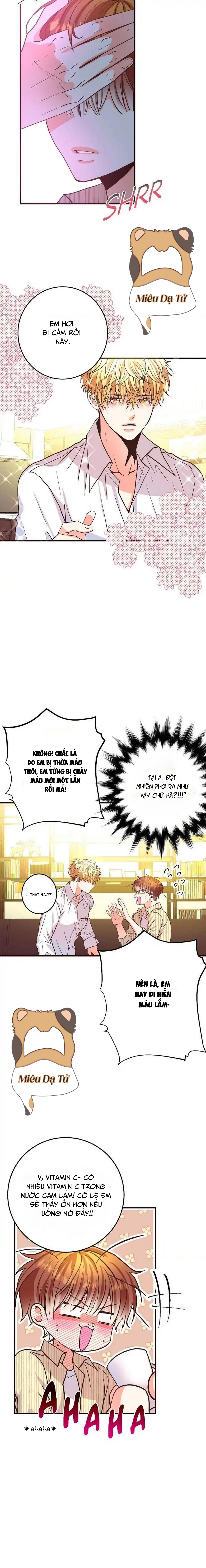 mối quan hệ phù hợp chapter 24 6