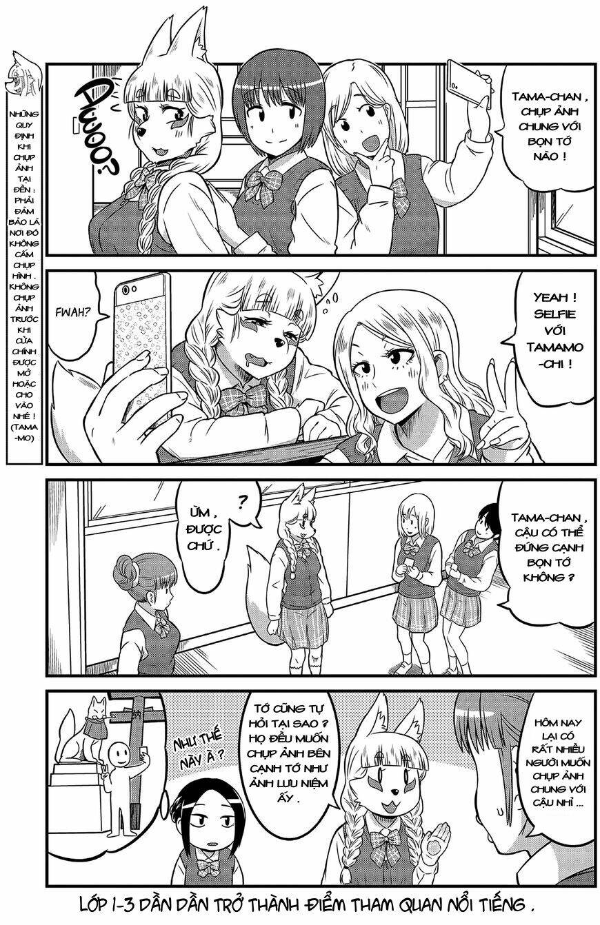 high school inari tamamo-chan ! chapter 4 8