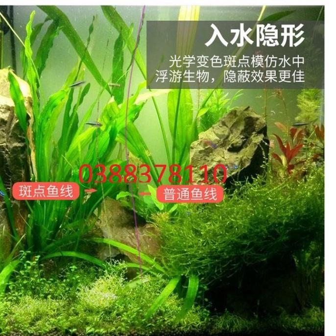 Sale to Dây Cước Câu Cá, Dây Cước Câu Cá D-Fish Nhật, Cước Sịn 500m - xả hàng tồn