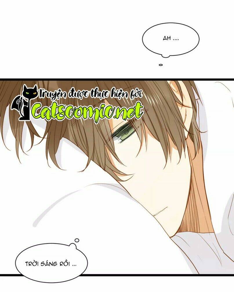 điều giáo quan hệ chapter 25 29