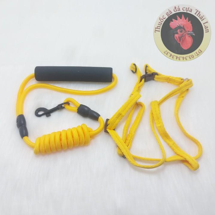 Dây xích và vòng cổ chó Trung
