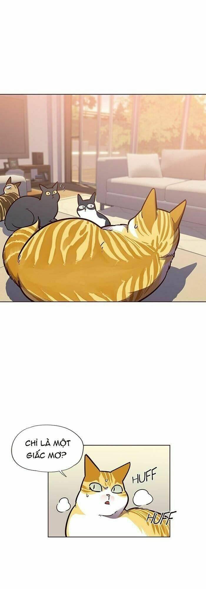 biến thân thành mèo chapter 56 12