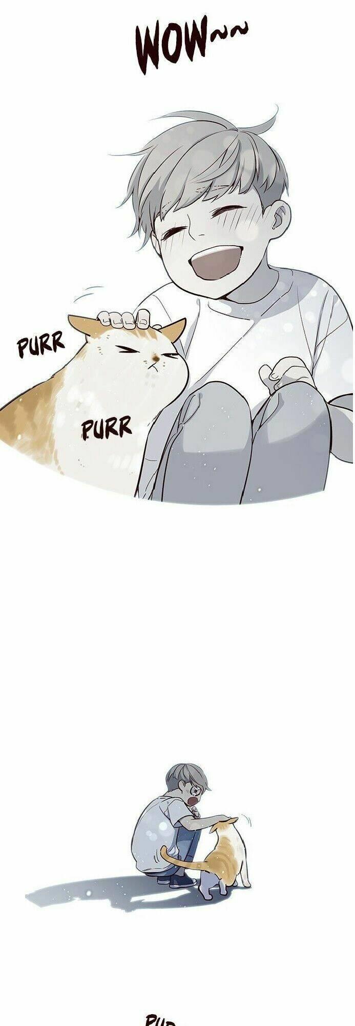 biến thân thành mèo chapter 7 15