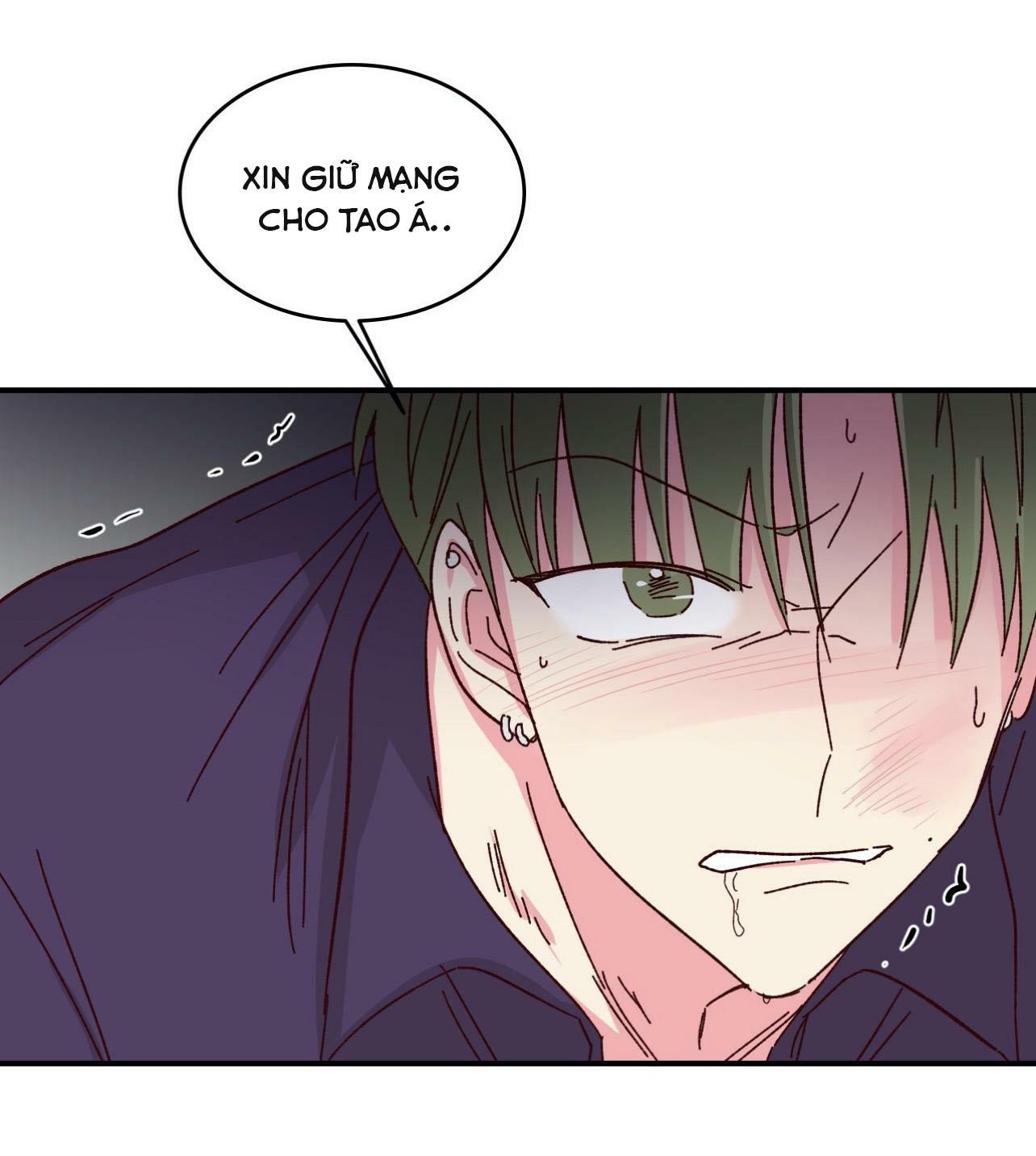 món tráng miệng của sếp tổng chapter 58 52