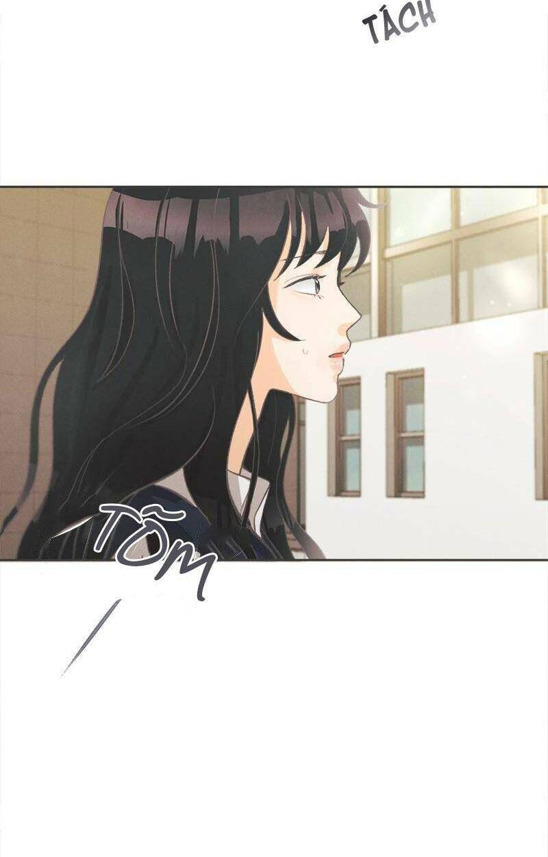 giấc mộng đêm hè chapter 6 54