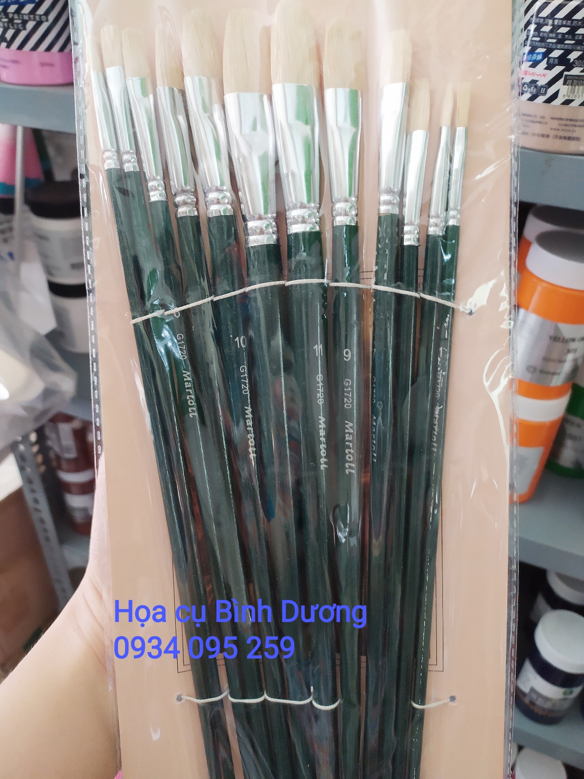 Cọ vẽ G1720 martoll Lông heo vẽ acrylic, sơn dầu