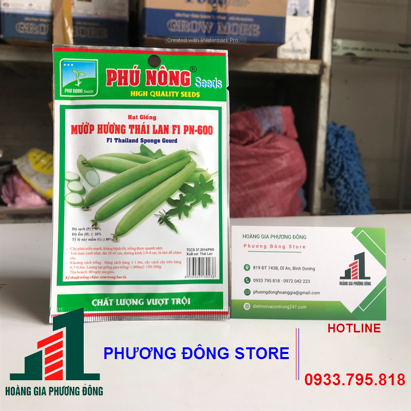 Combo 5-10 gói hạt giống Mướp Thái Lan 600 siêu trái, kháng bệnh tốt - gói 1g