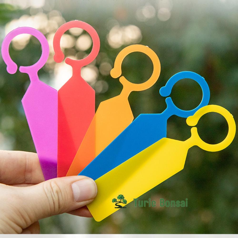 Thẻ ghi tên lan, cây cảnh,quả có móc treo, thẻ ghi tên cây có móc treo