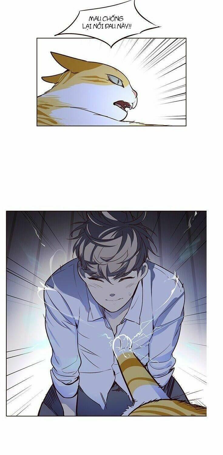 biến thân thành mèo chapter 8 49