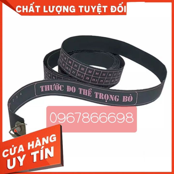 Thước đo trọng lượng bò