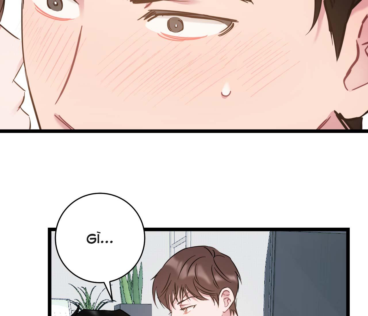 tình yêu bình dị nhất chapter 23 75