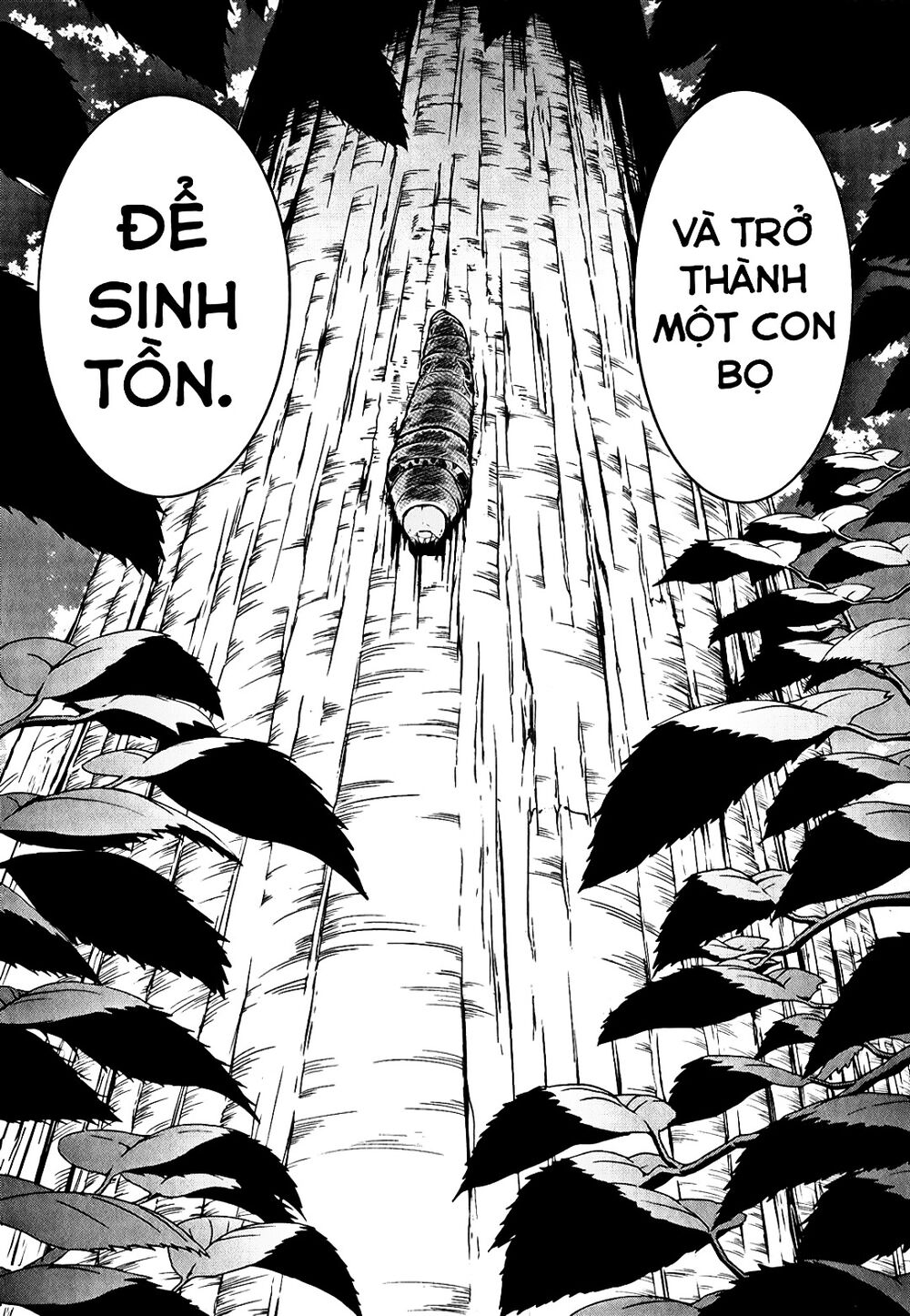 caterpillar chapter 11 8