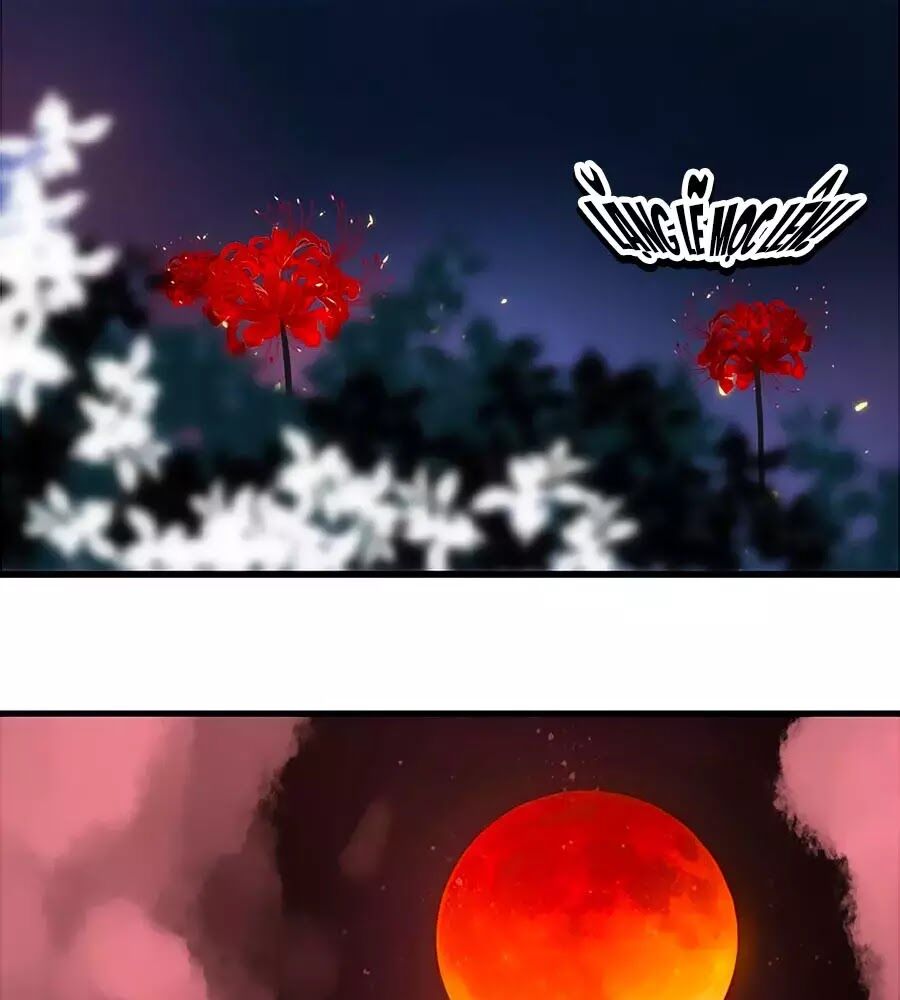 hoa chưa nở rộ chapter 20 56