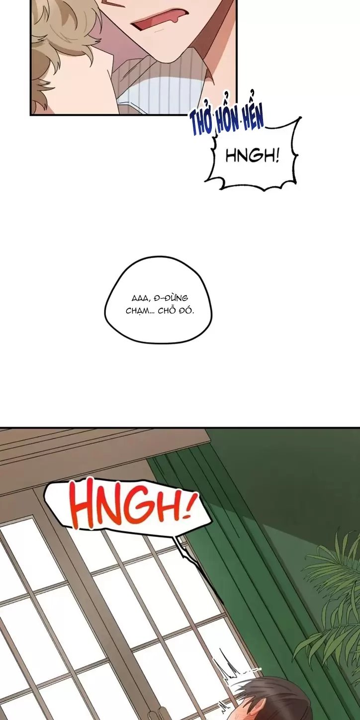 liveta chapter 25 29