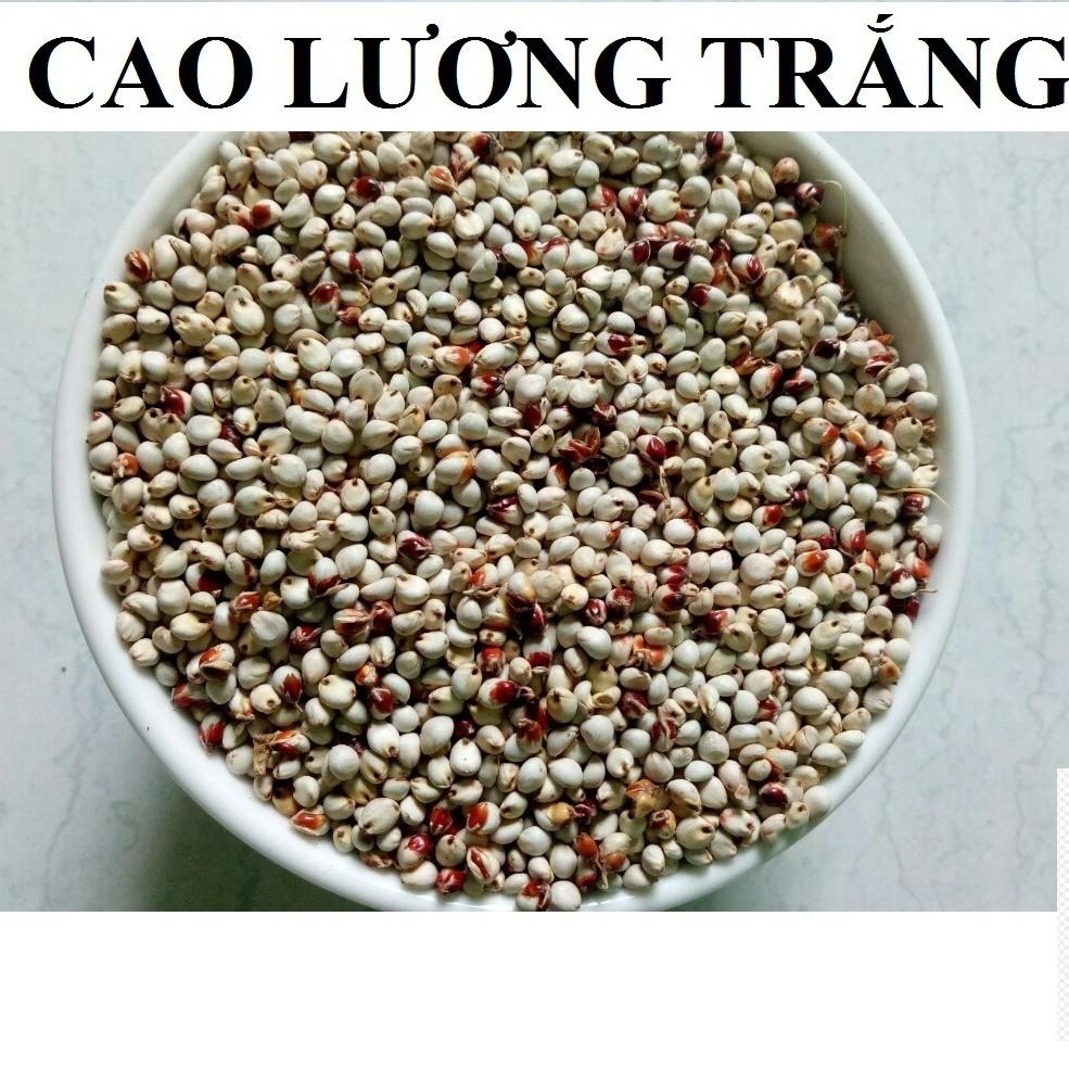 100G HẠT BOBO TRẮNG CHO CHIM,VẸT,HAMSTER