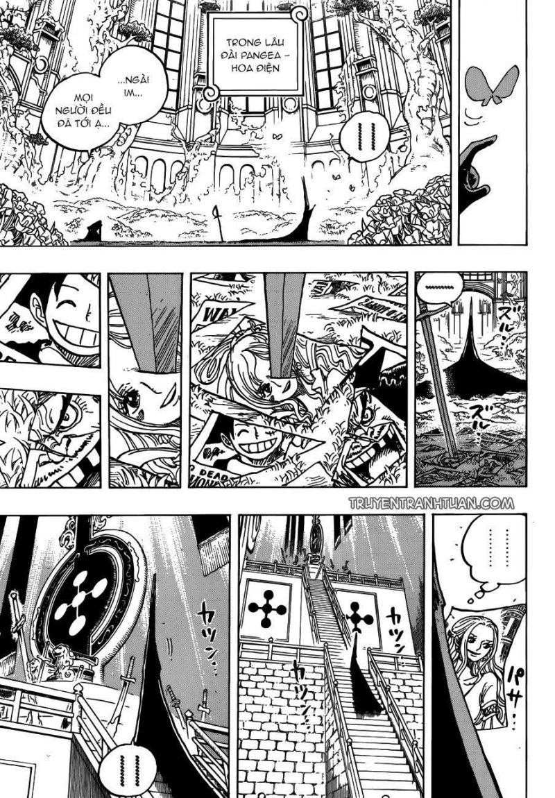 đảo hải tặc - one piece chapter 908 13