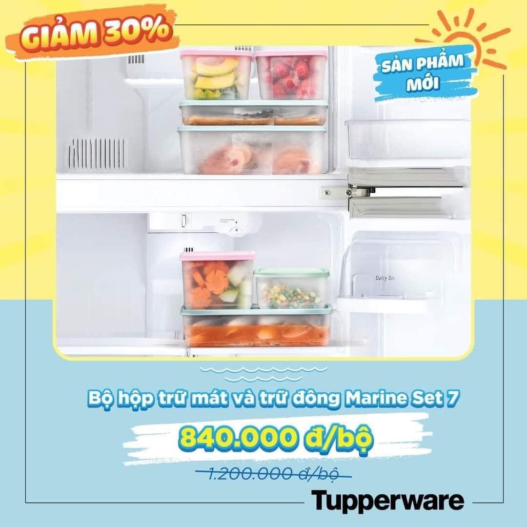 Bộ hộp bảo quản trữ mát và trữ đông Marine  TUPPERWARE HÀNG CHÍNH HÃNG
