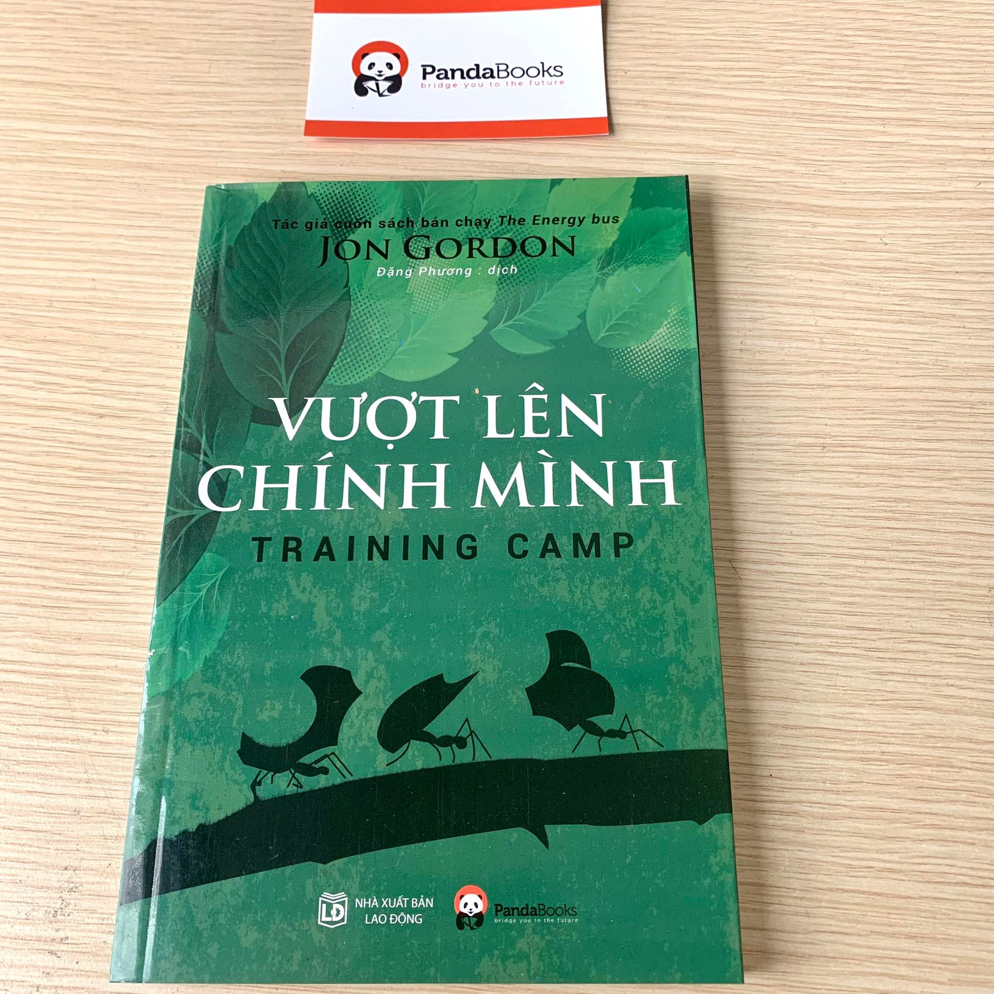 Vượt Lên Chính Mình