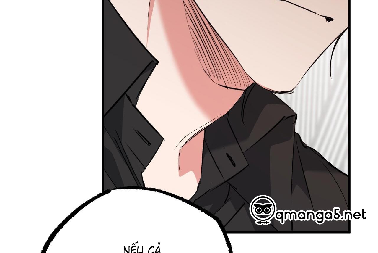 những chú thỏ của hapypy chapter 61 67