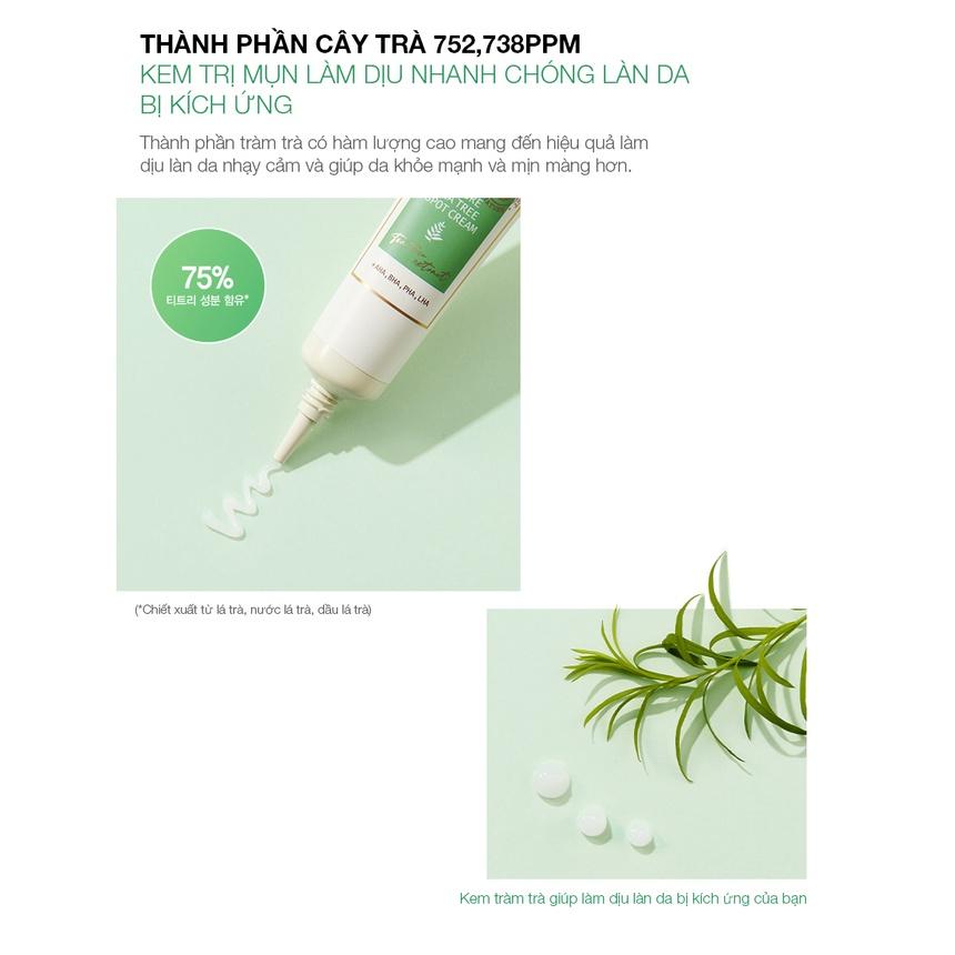 Kem Làm Dịu và Ngăn Ngừa Mụn JMsolution Nature Tea Tree Spot Cream 30ml