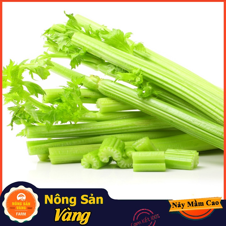 Hạt giống Rau Cần Tây - Nông Sản Vàng