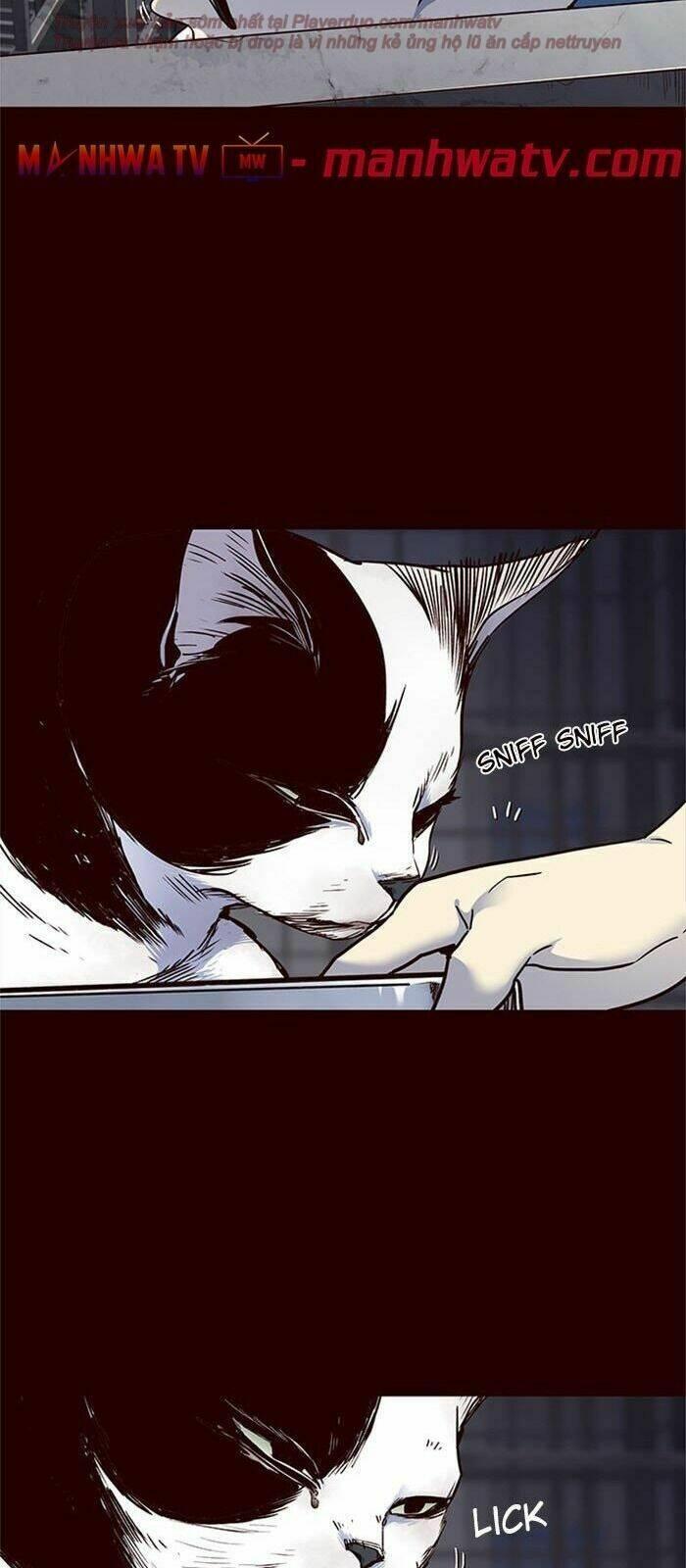 biến thân thành mèo chapter 36 28