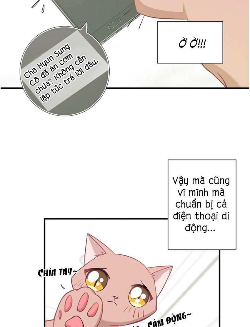 cuộc sống kỳ thú chapter 17 17