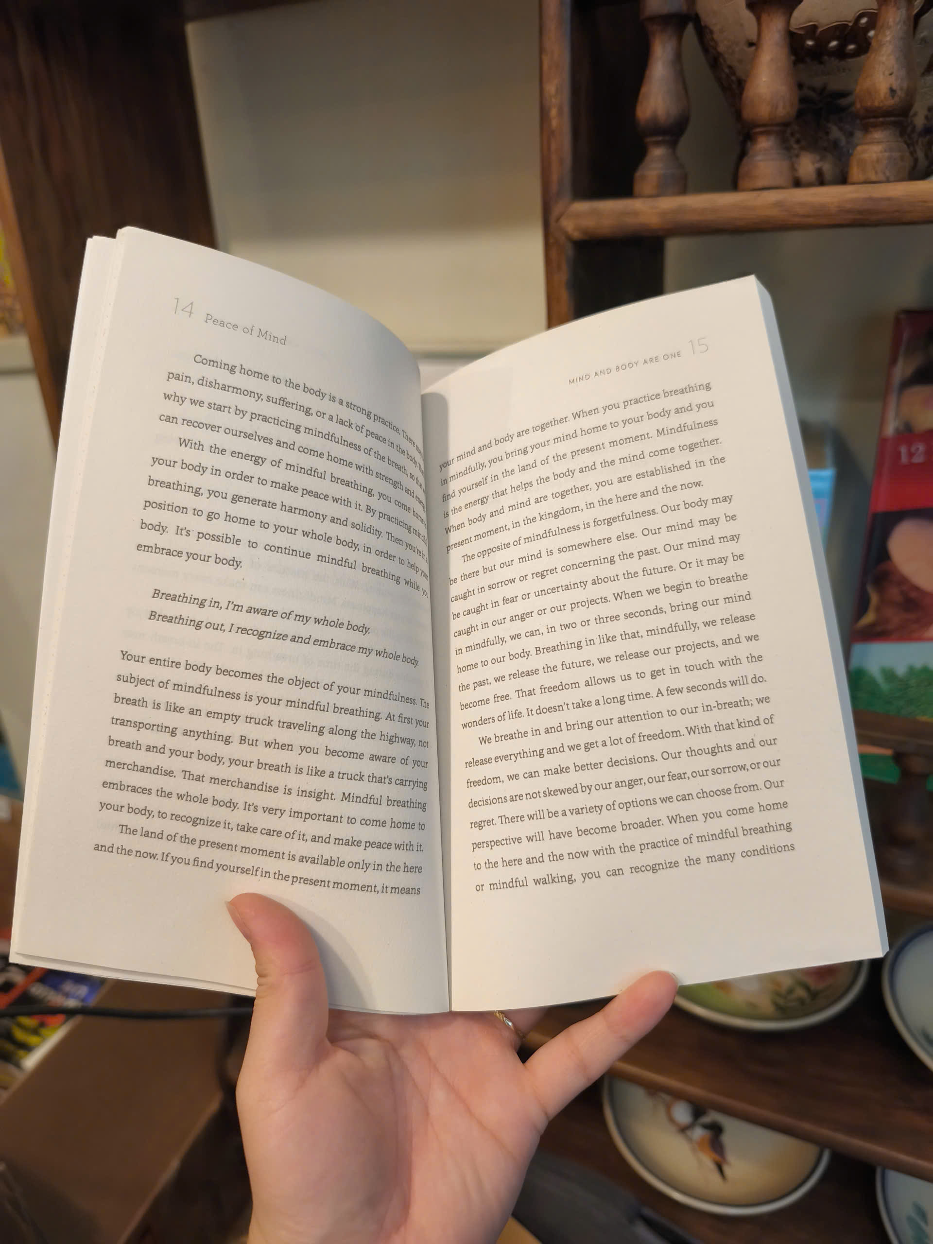 Sách - Peace of Mind by Thich Nhat Hanh - Triết Học, Tôn Giáo tiếng Anh - Philosophy, Religion