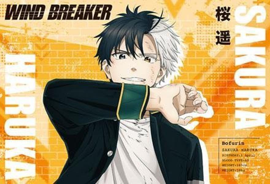 Sách ngoại văn: TVアニメ WIND BREAKER ポストカードブック Season1編 - TV Anime Wind Breaker Porster Card Book