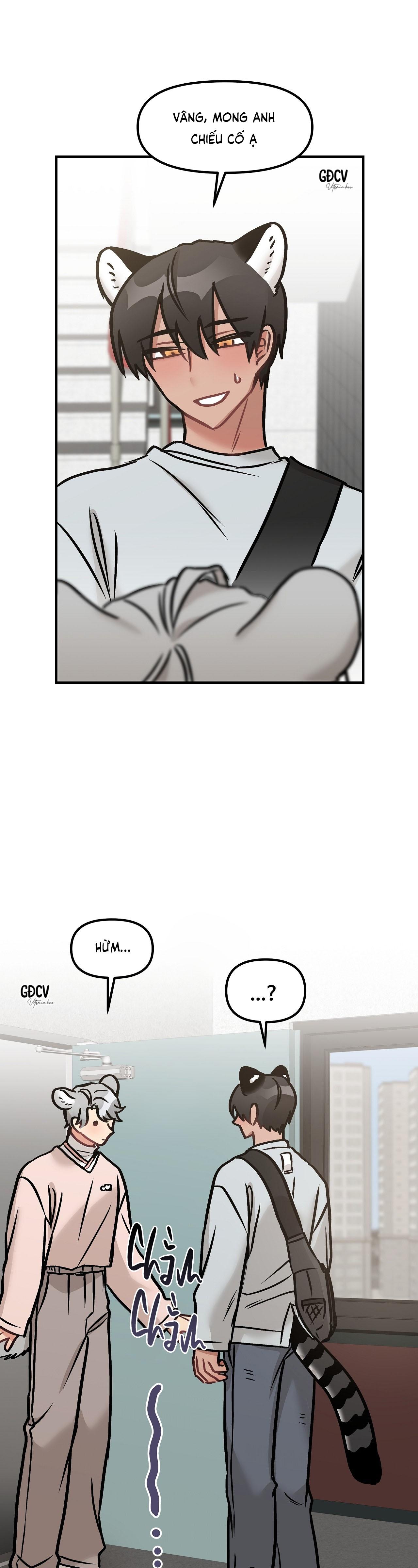 thưa ngài hổ, tôi đã ăn rất ngon miệng chapter 14 21