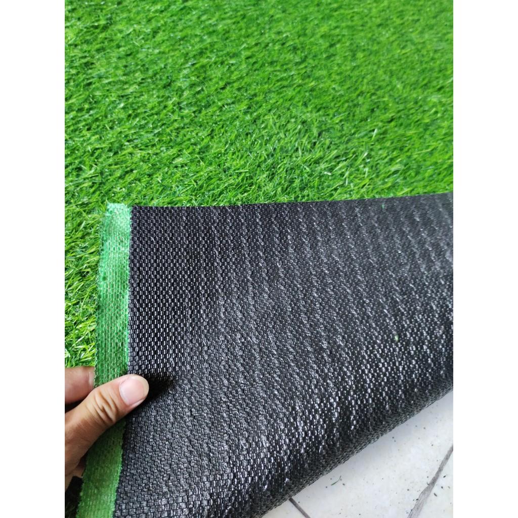 Combo 5 m2 thảm cỏ nhân tạo sợi kim 2cm