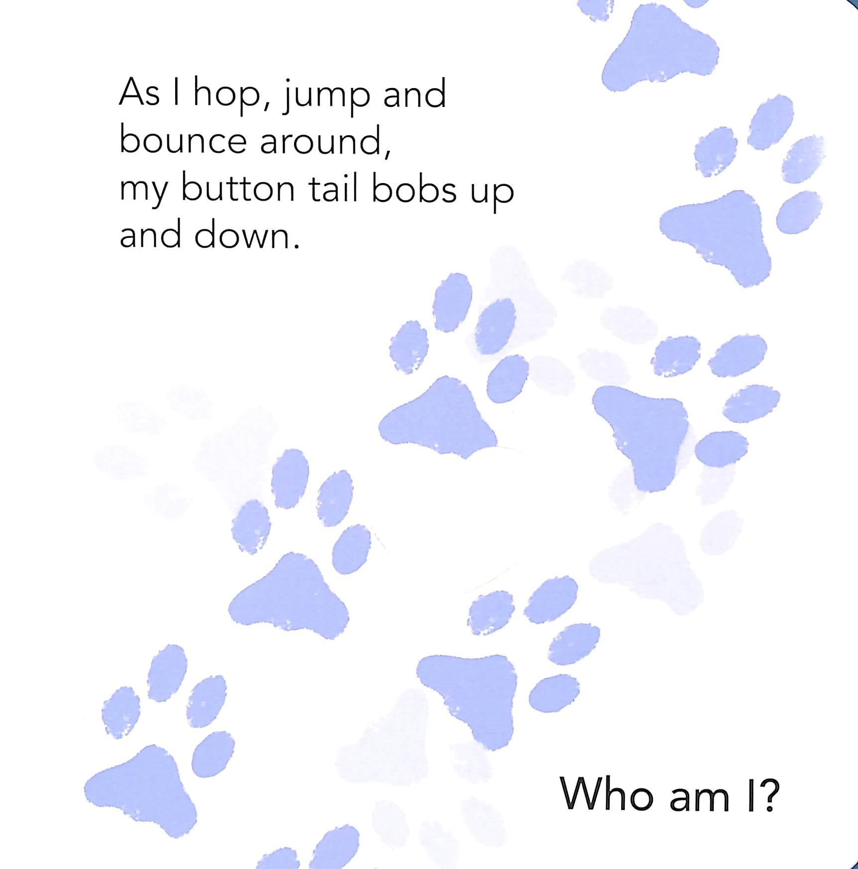 Who Am I? Touch &amp; Feel Flap Book: Pets