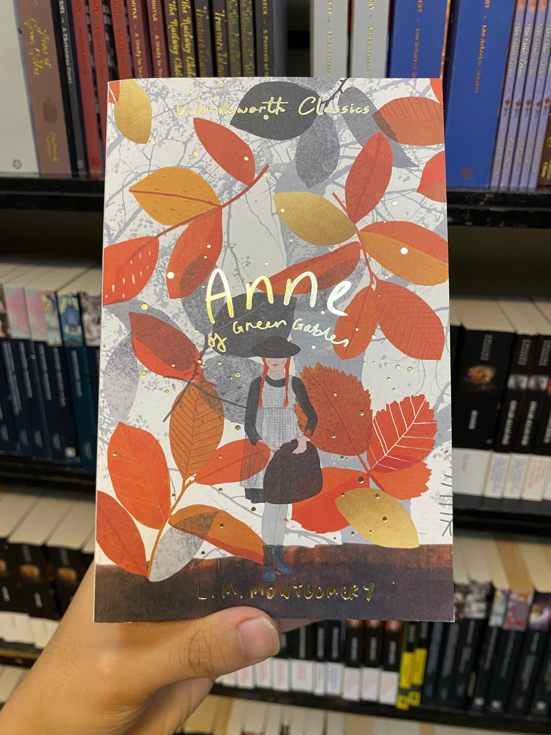 Sách - Anne of Green Gables &amp; Anne of Avonlea by L. M. Montgomery - (Wordsworth Classics)