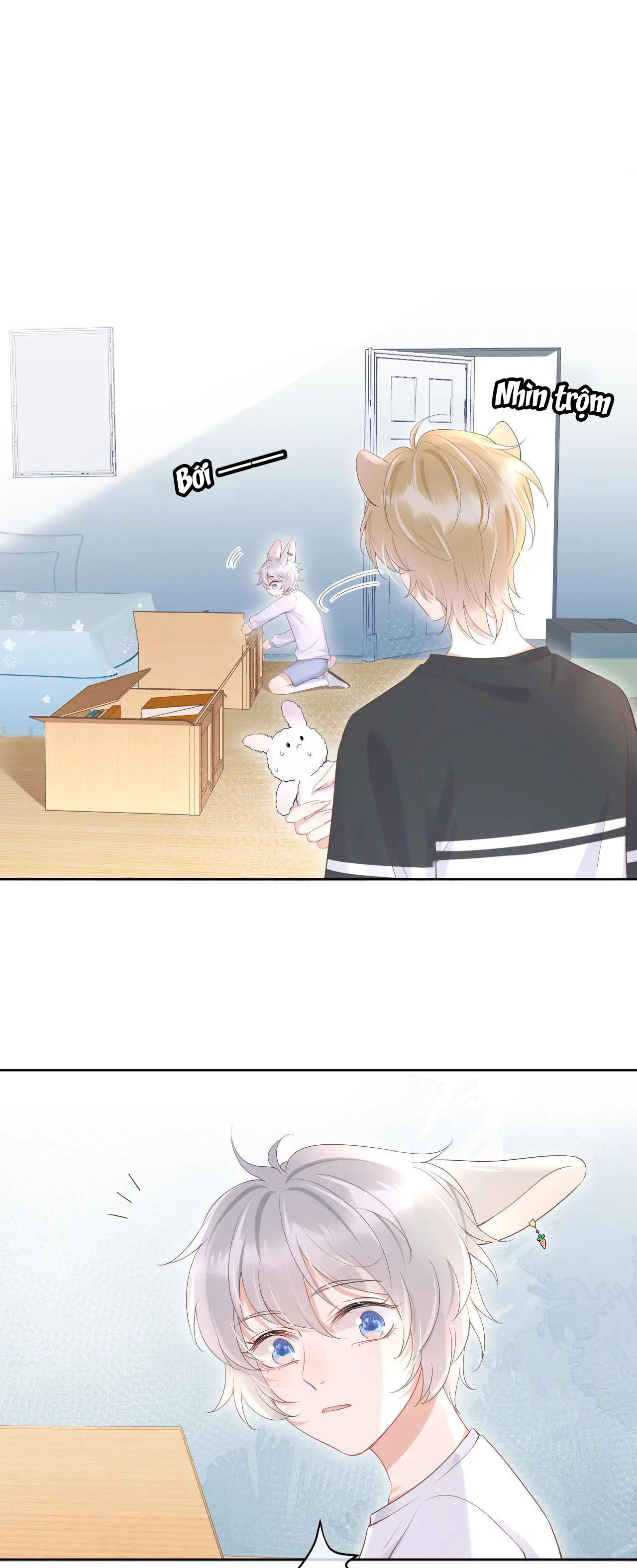 một miếng ăn sạch thỏ chapter 8 14