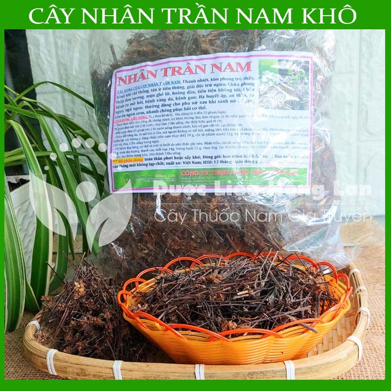 Cây Nhân Trần Nam khô 1kg
