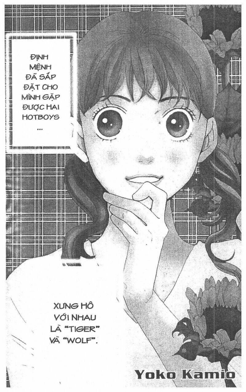 tigers and wolves chapter 1 4