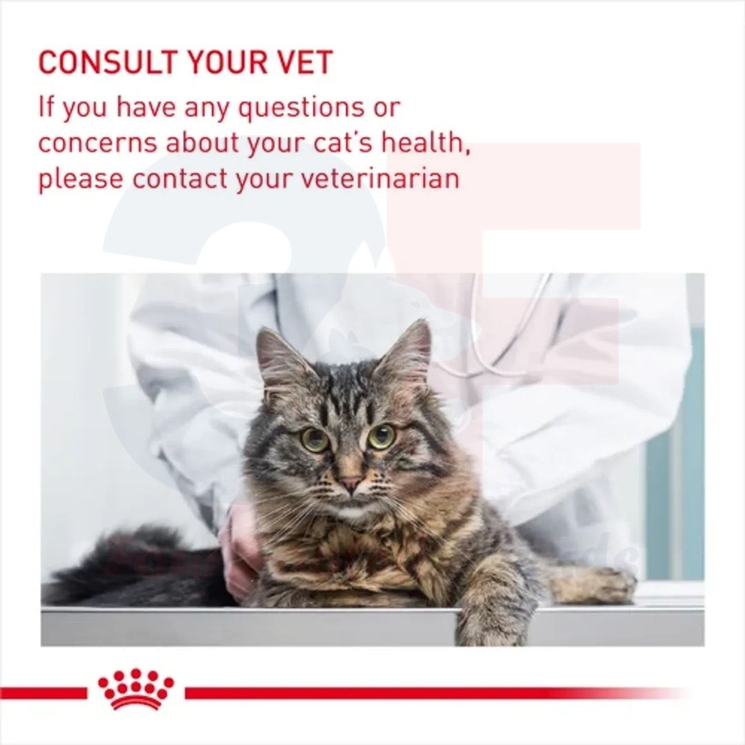 Pate Thức Ăn Ướt Dạng Sốt Hỗ Trợ Tiêu Búi Lông Dành Cho Mèo Trưởng Thành Royal Canin Hairball Care Gravy - Gói 85g