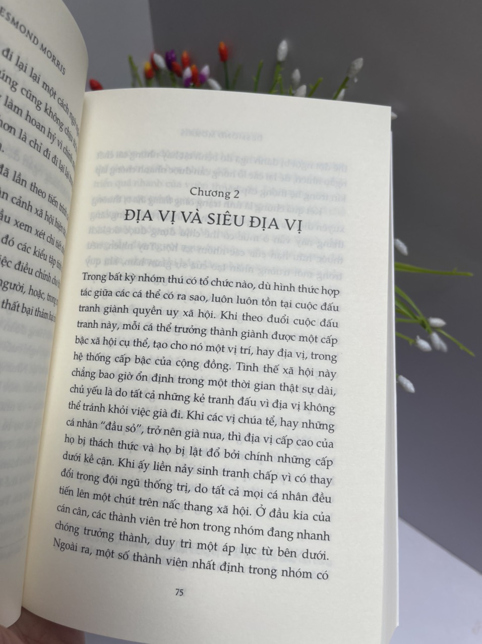 VƯỢN TRẦN TRỤI và VƯỜN THÚ NGƯỜI – Vương Ngân Hà dịch – Nhã Nam