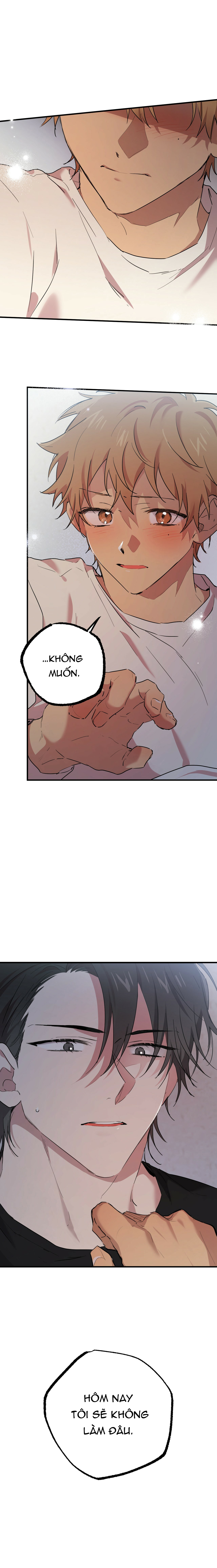 những chú thỏ của hapypy chapter 14 35