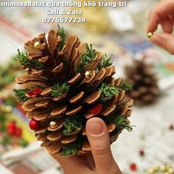 Trái thông khô trang trí Đà Lạt, phân loại 1kg trái thông Trung