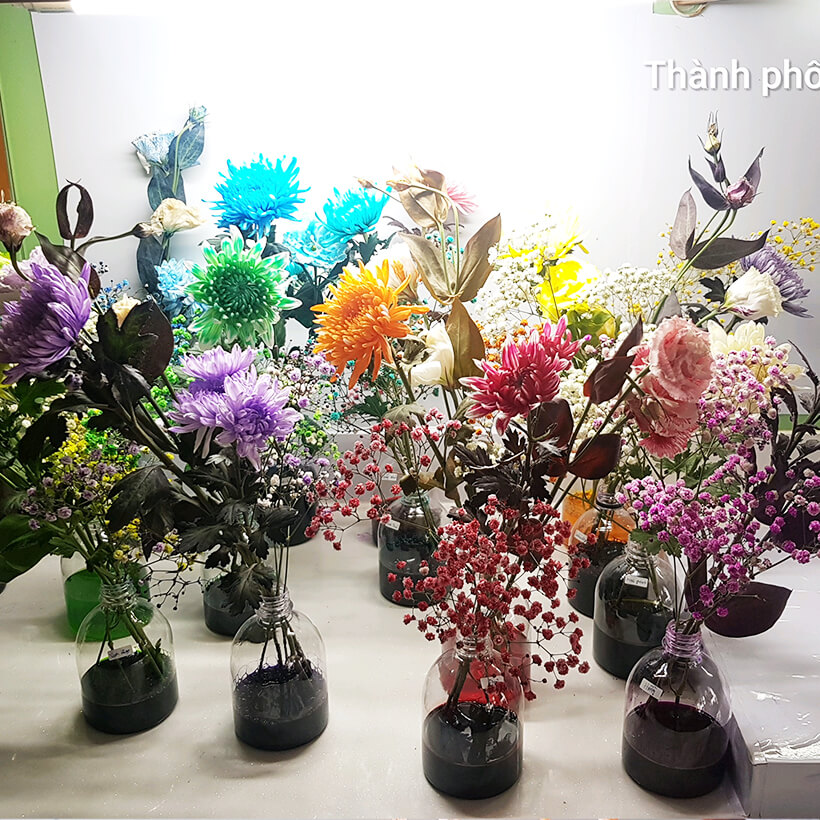 Nước Màu Nhuộm Hoa Tươi Màu Cam Israel Color Sodium For Fresh Flowers