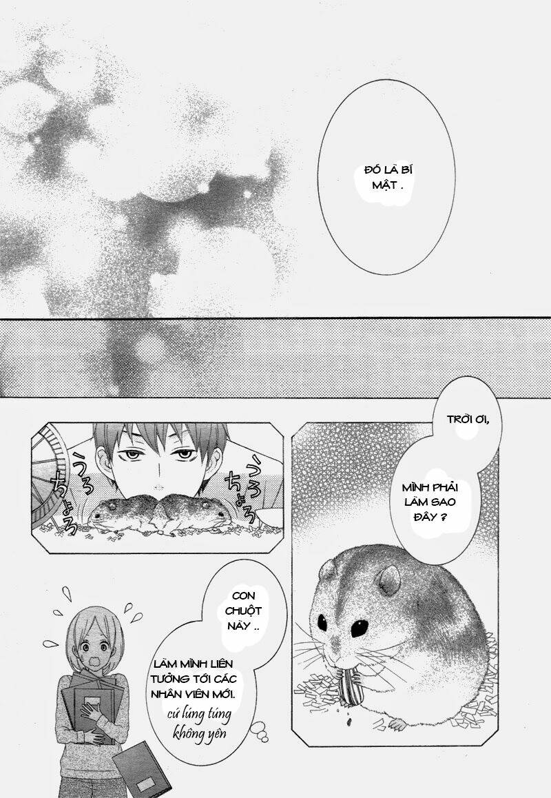 chuyện tình chuột lang chapter 0 30