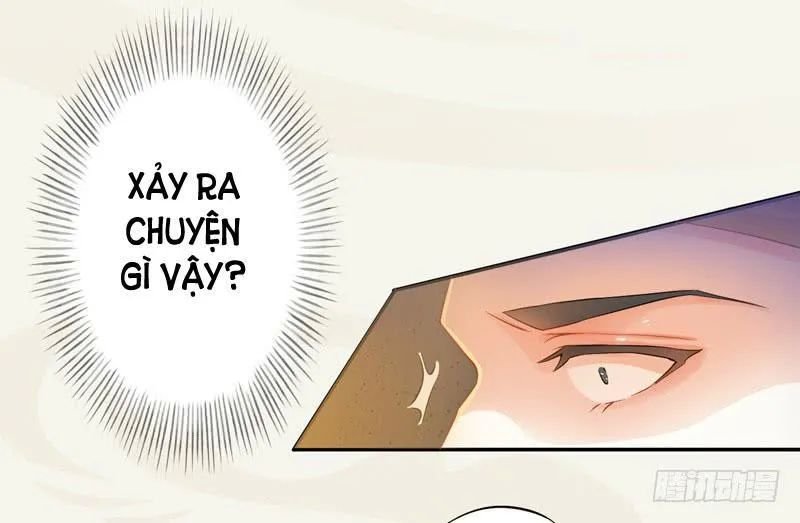 tuyệt thế luyện đan sư chapter 9 5