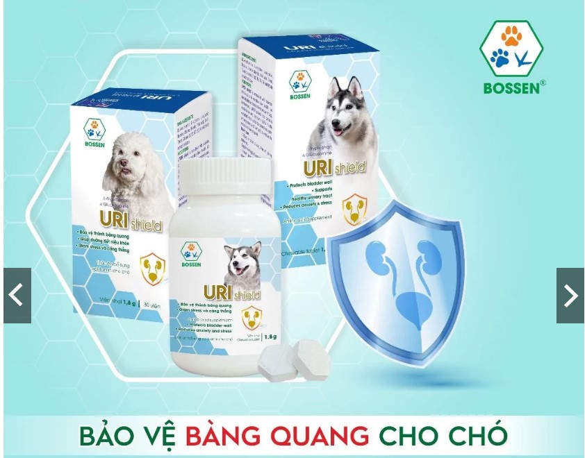 BOSSEN - URI Shield (dogs) Hỗ Trợ Bảo Vệ Bàng Quang cho Chó, giúp Tiết Niệu khỏe - Hộp 30 viên