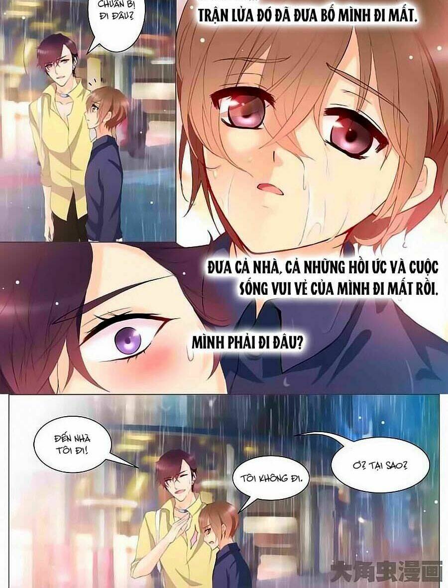 tinh tinh bất thị phát quang thể chapter 4 2