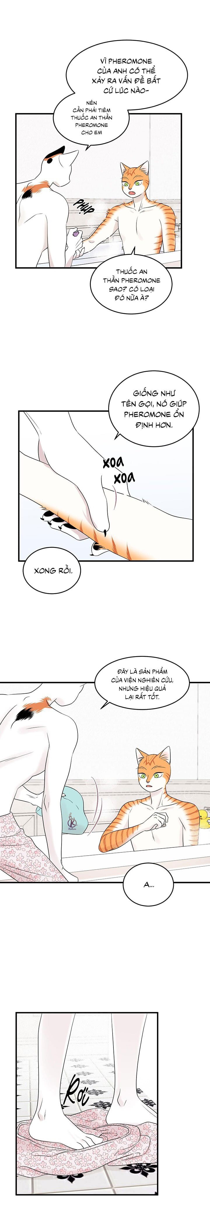 dự án xanh chapter 37 5