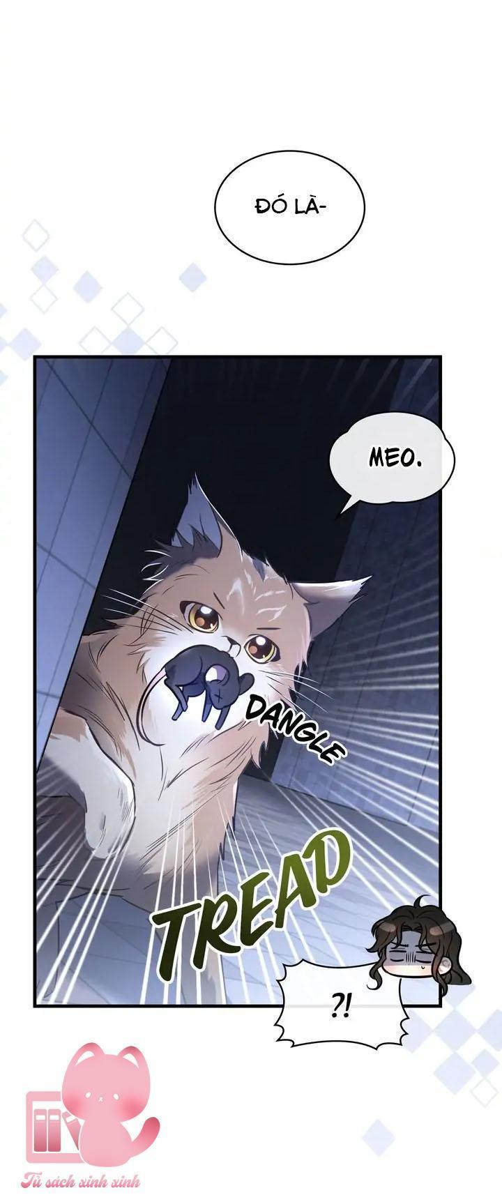 đêm đen khuất bóng chapter 20 43