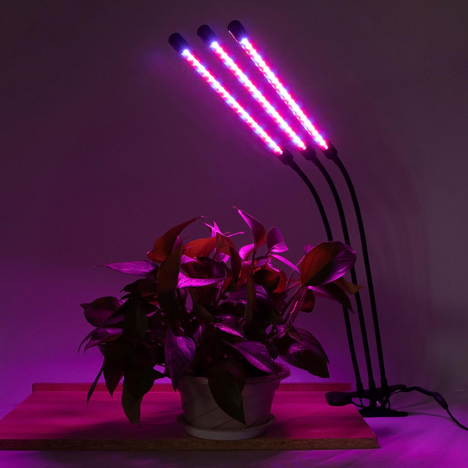 Set Đèn Quang Hợp Trồng Cây Cảnh Tại Nhà 3 Chế Độ Ánh Sáng 9 Cấp Độ Có Thể Điều Chỉnh Bộ Hẹn Giờ
