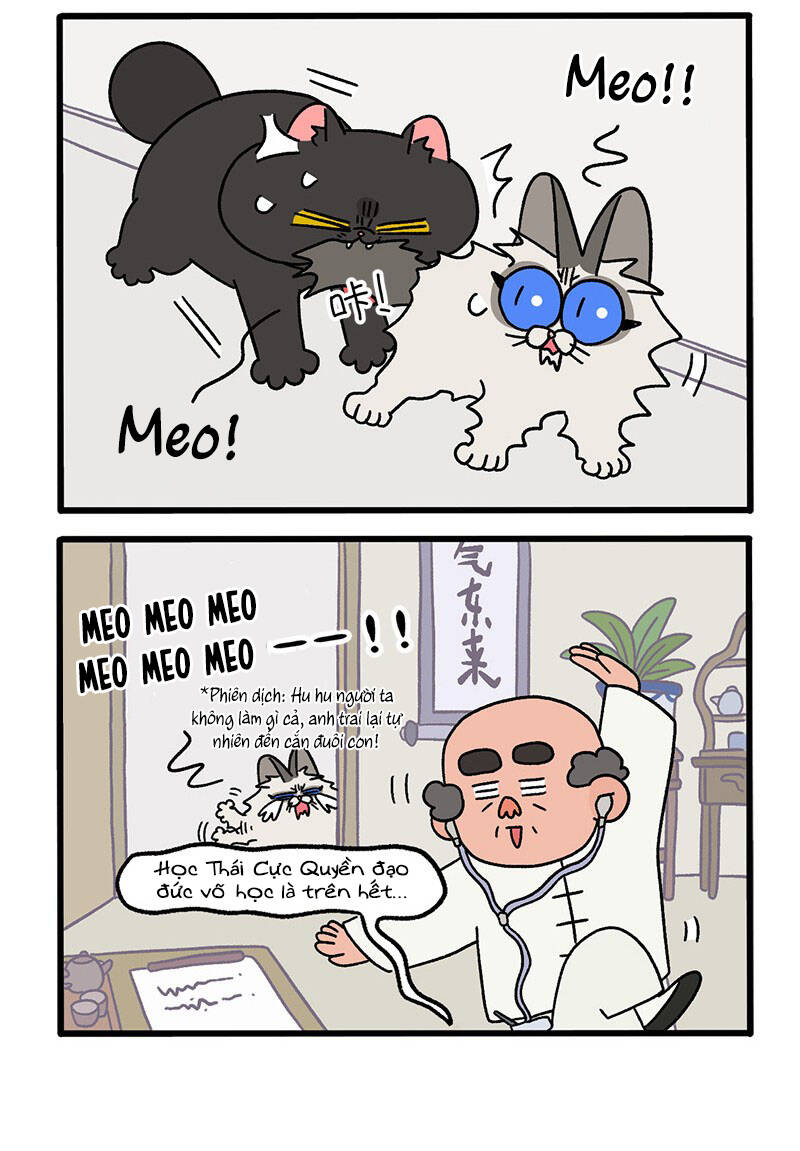 a mãn và mạch trà chapter 32 4