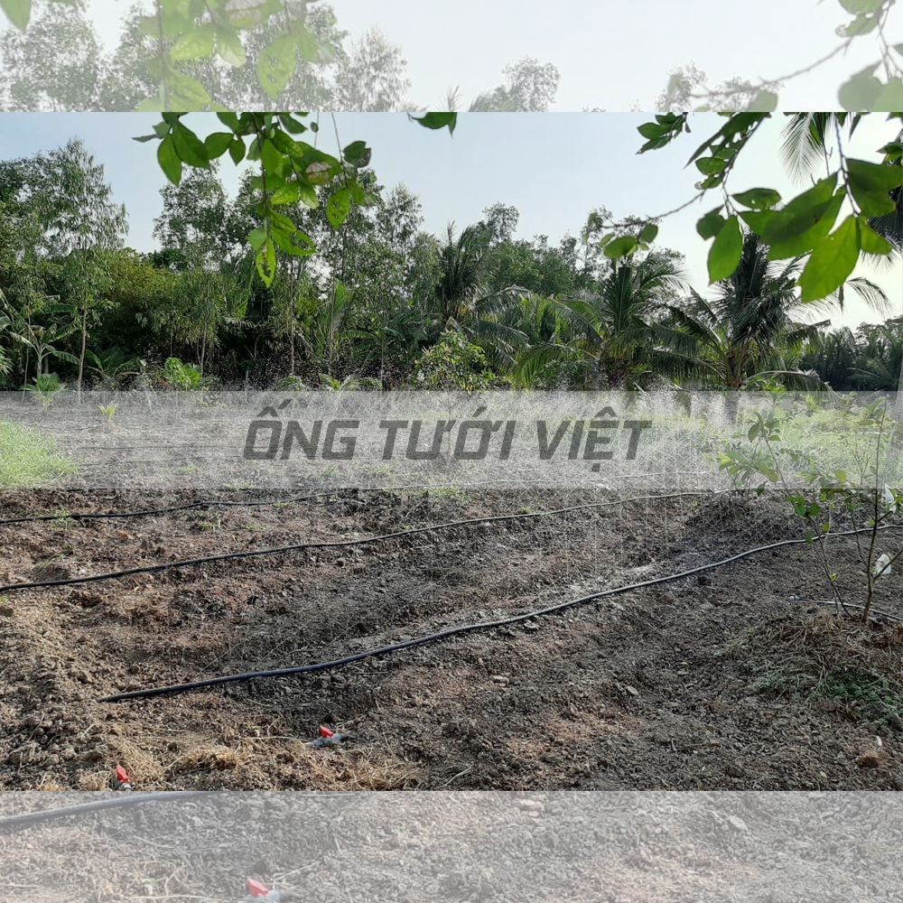 100m Ống dây tưới phun mưa Nguyễn Tân phi 42 | Ống mềm sử dụng trong hệ thống tưới nông nghiệp